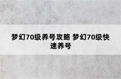 梦幻70级养号攻略 梦幻70级快速养号